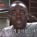 라쿵푸 이미지
