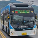 대동백화점(토월성원아파트방면) 이미지