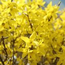 여주-0609 이미지