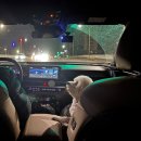 뽀송뽀송 애견미용 | [공지] 🐶 전설이의 뽀송뽀송 미용 후기 — 포메른 펫살롱 비숑미용