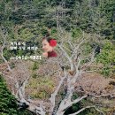 이삭민박 이미지