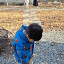 할로인풍 이미지