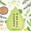 한국아로마테라피연구소