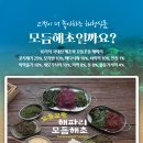 태양식품 이미지