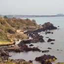장한철의 표해록 | 제주도(HELLO JEJU)_한담해안산책로와 장한철 생가
