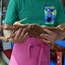 영일만수산 이미지