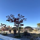 검단산등산로(아빠사랑화장실) | [분위기맛집] 1200평 남원 대형카페 베이커리카페 아티나