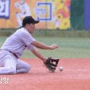 바이퍼스 이미지