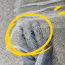 대창3차아파트경로당 | 방충망 청주방충망 용암동 중흥마을 부영e그린타운 3차 아파트 모노필라멘트 30메쉬 미세방충망 교체 후기