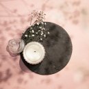 뉴페이스의원 이미지