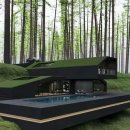 그루터기 이미지