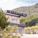 솔내음물댄동산