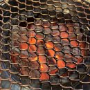 수연목장 | 제주도 1일차 맛집 육고깃집 / 협재해수욕장 / 인생네컷 / 오달콤제주 / 금오름 별 구경