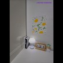 스테이단잠안산