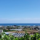 하르방 민박 이미지