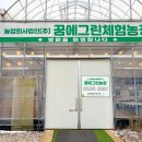 농업회사법인 유한회사 우리농장 | 담양아이랑가볼만한곳 귤 따기 체험 꿈에 그린 체험농장