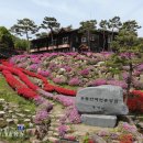 용봉산자연휴양림 이미지