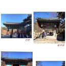 서해여관 이미지