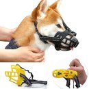 미미애견 이미지