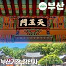 장안사3(쉼터) | 부산 기장 장안사 근교 계곡물놀이 명소, 기장 장안사 나들이 코스