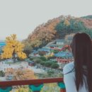 카페인 포레스트 본점 이미지