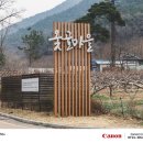 백불고택 | 한옥의 미를 담다, 대구 옻골마을에서 담아온 봄의 풍경들