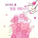 벚꽃눈썹 이미지