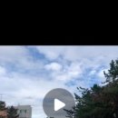 보다밍