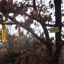 백수농업협동조합 이미지