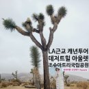 LA 근교 캐년 투어 데저트힐 프리미엄 아울렛 조슈아트리 국립공원