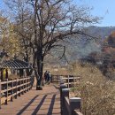 DMZ 평화쉼터 이미지