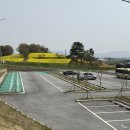 김성호농장 | 고창 학원농장 청보리밭 유채꽃 축제 광주 근교 꽃구경 포토존