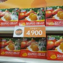 망고젤리 이미지