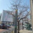 토스어학원 | 토익스피킹 맛집 명품토스 양희진 지나쌤 영어학원 추천 및 수강 솔직후기 'YBM 어학원 신촌'