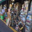 호남생선 이미지