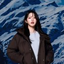 스타일 퍼피 이미지