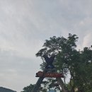 월악산국립공원 닷돈재자동차야영장 이미지