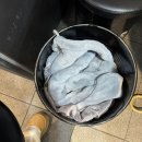 청춘과일 | 모란역맛집 특별한 대창구이를 판매하는 "모란청춘곱창" 솔직후기