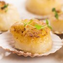 더가리비 이미지