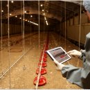 하림농장 이미지