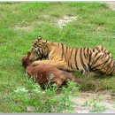 계림산장 이미지