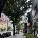 봉명PC | 대전 봉명동 맛집, N번째 방문후기 부산갈매기 대전봉명점