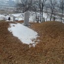 정유선생묘 이미지