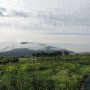 덕풍천 산책로 티스토리