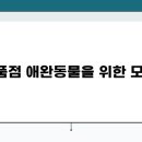 카용품점