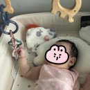 까르르멍멍 | 4개월 아기 장난감 추천｜아기 장난감 꼬꼬맘부터 바운서까지 120일 직접 써본 교사 엄마의 BEST 7