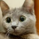 춘천카센타 이미지