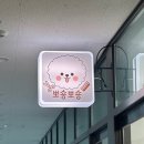 뽀숑 | [경기 안성 공도] 반려동물 미용 뽀숑뽀숑 후기✂️