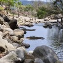 라파엘힐링센터 | ​전원 극찬! 팔공산 자연 속에서 되찾는 건강, 라파엘브릿지 153 재활 솔루션 단체 체험 후기