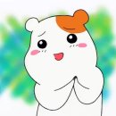 더세움 이미지